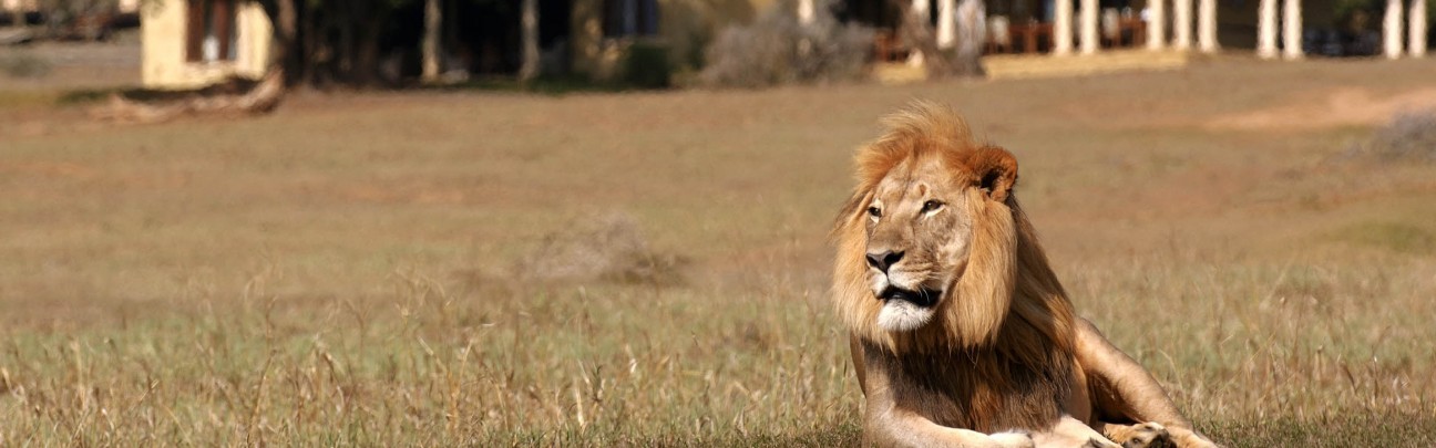 code jt up top Garden  Winelands Camp  Elephant hotel Route & Gorah